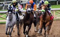 Horse-Racing-Journalism